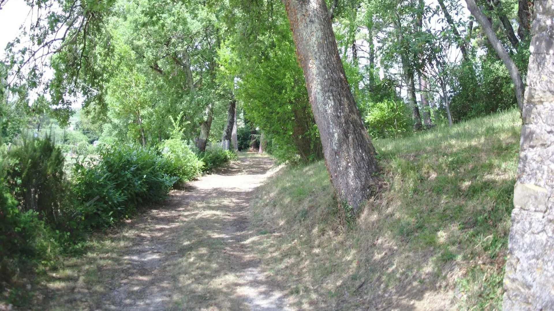 Lovely Holiday Home In Montefiridolfi With Hill View Italy
