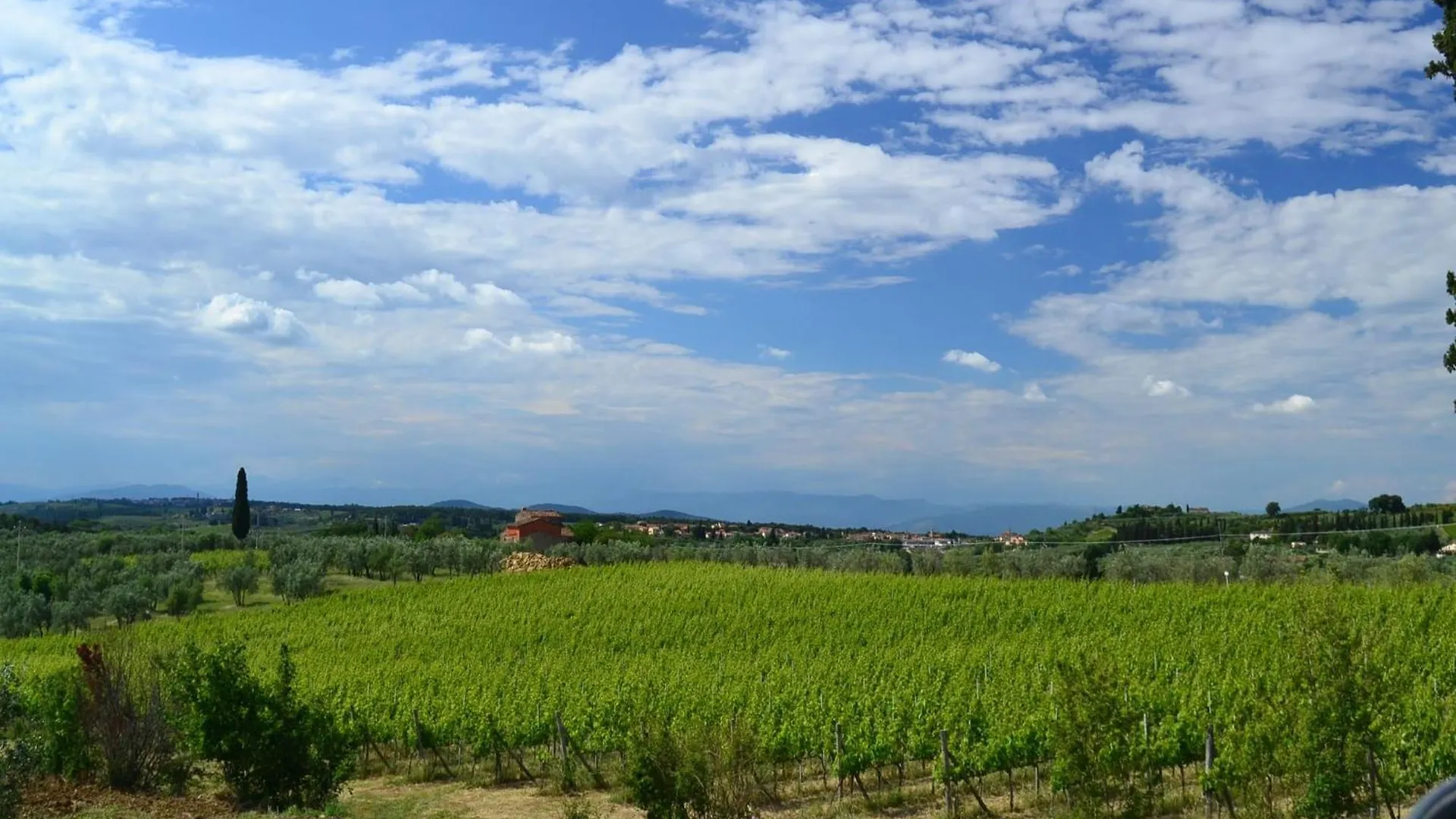 Lovely Holiday Home In Montefiridolfi With Hill View