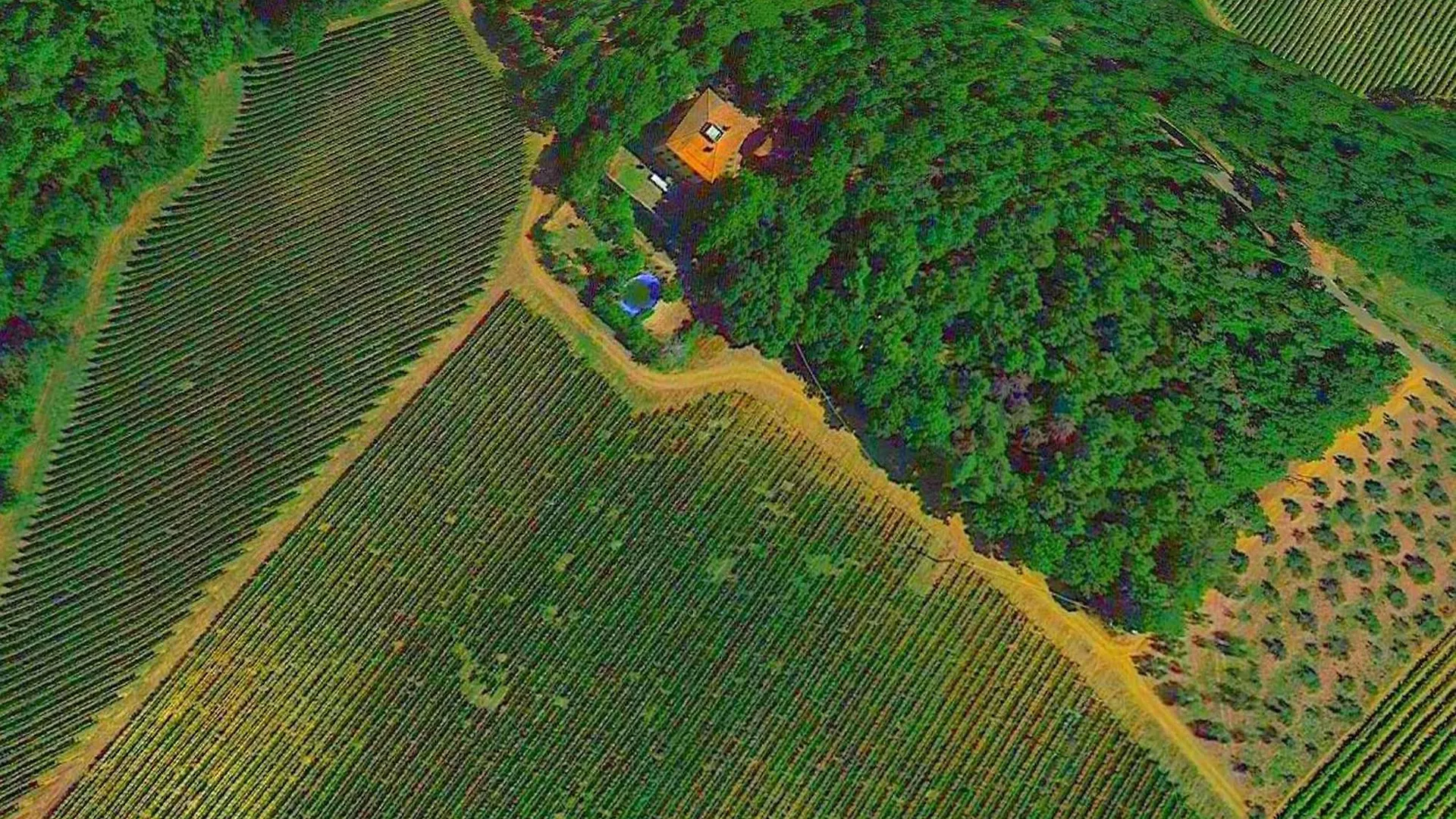 Lovely Holiday Home In Montefiridolfi With Hill View Italy
