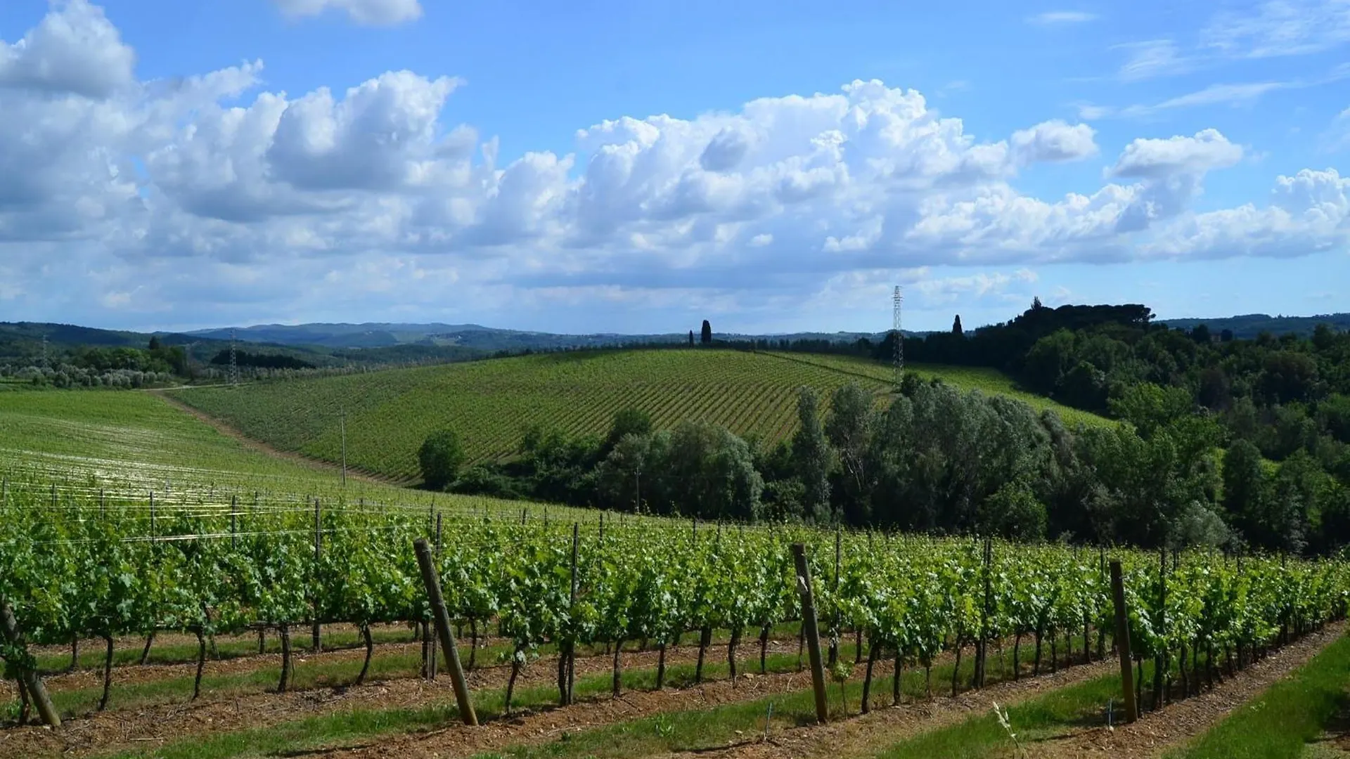 Lovely Holiday Home In Montefiridolfi With Hill View