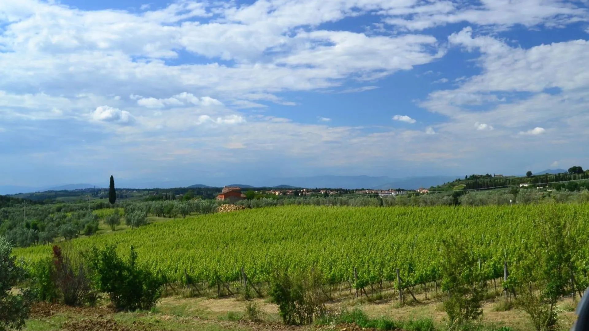 Lovely Holiday Home In Montefiridolfi With Hill View 0*,